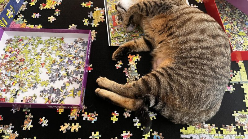 Des pattes et des pièces