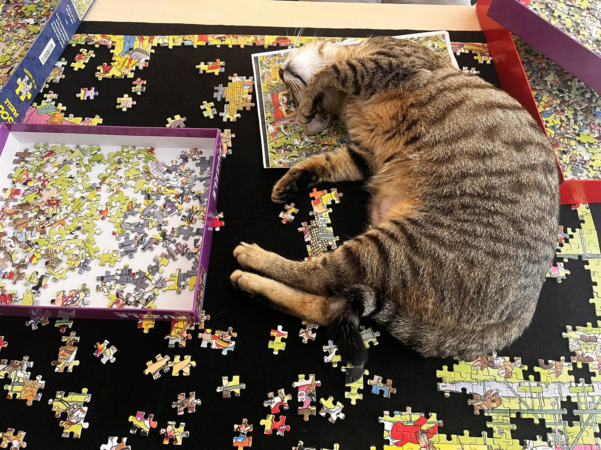 Des pattes et des pièces